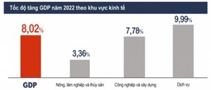 GDP 2022 tăng 8,02% so với năm trước và cao nhất giai đoạn 2011-2022 (30/12/2022)